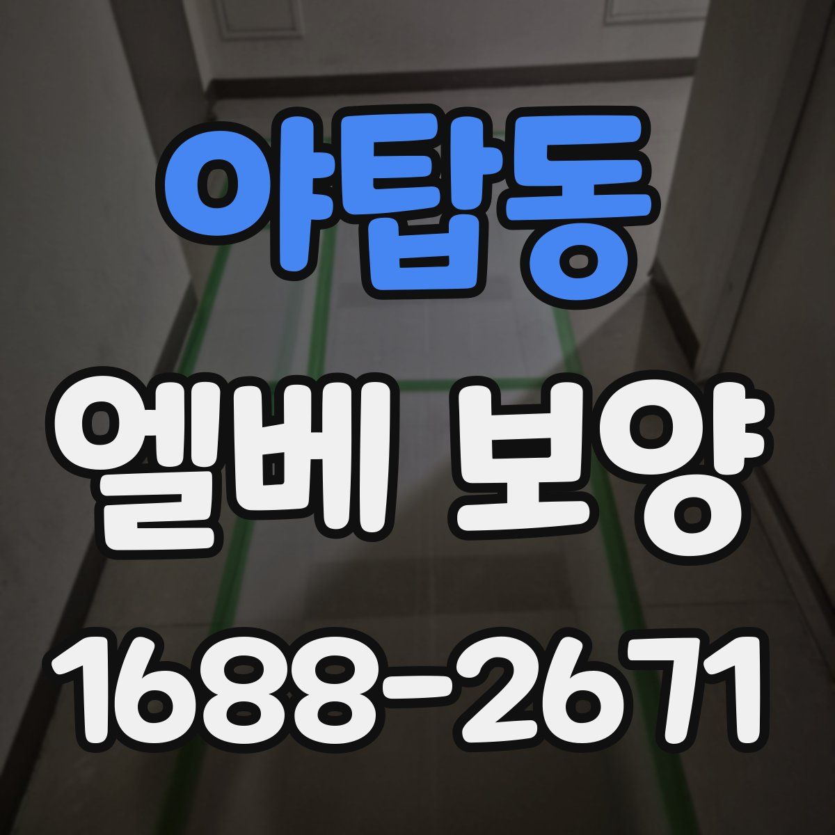 야탑동 엘베 보양