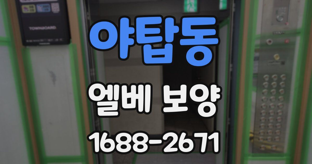 야탑동 엘베 보양
