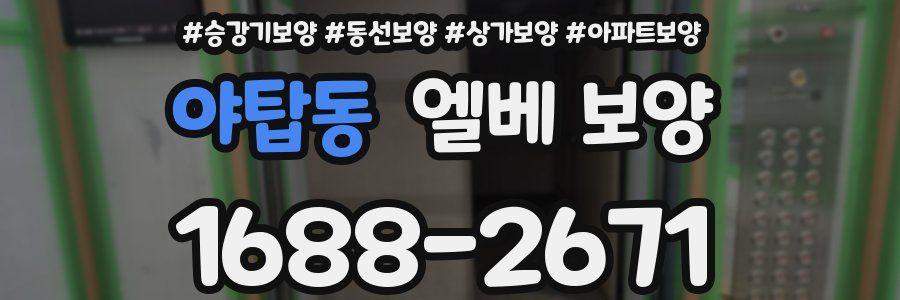 야탑동 엘베 보양