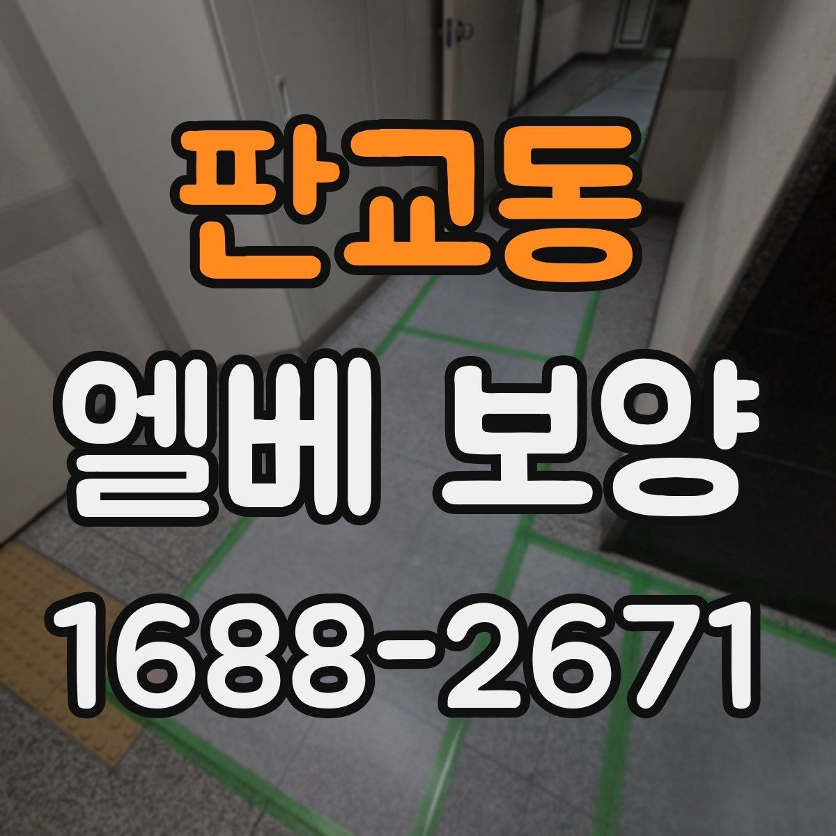 판교동 엘베 보양 작업 전후 사진 기록이 중요한 이유