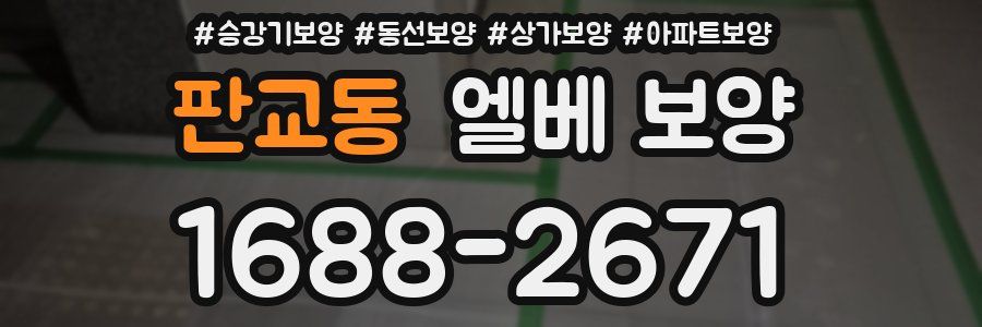 판교동 엘베 보양
