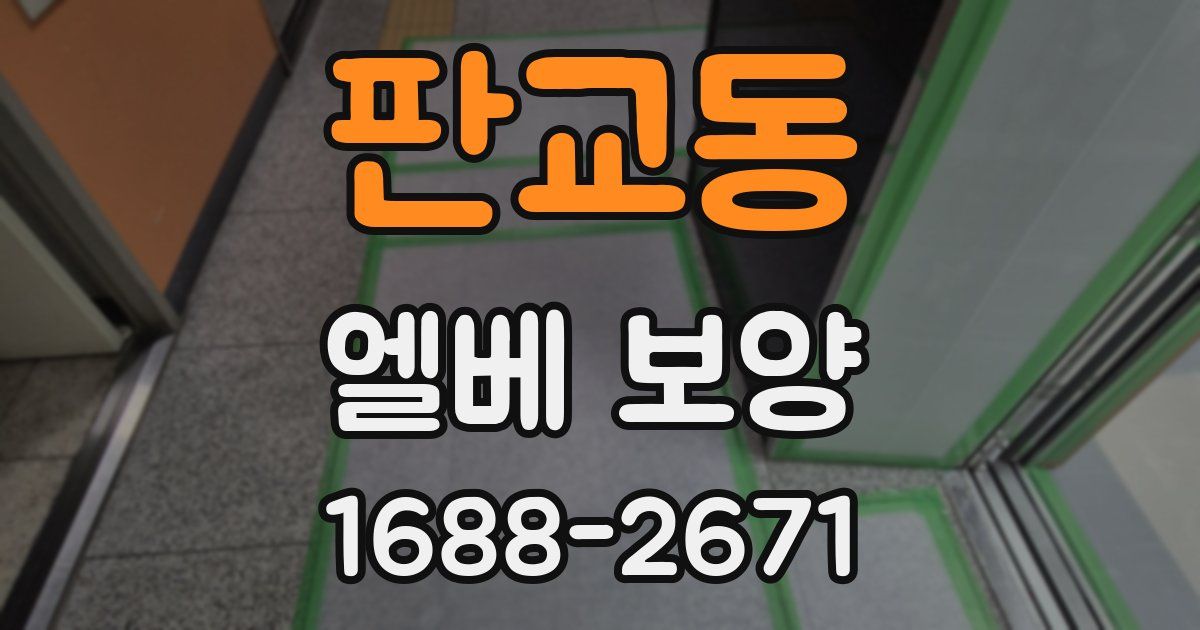 판교동 엘베 보양