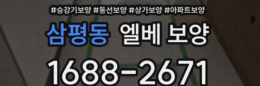삼평동 엘베 보양