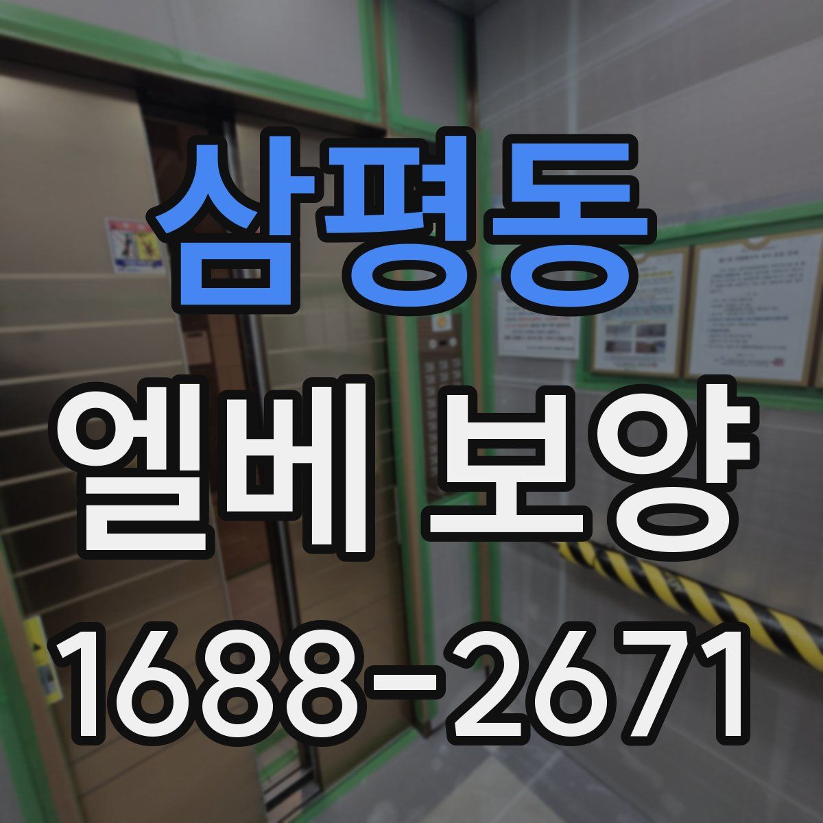 삼평동 엘베 보양