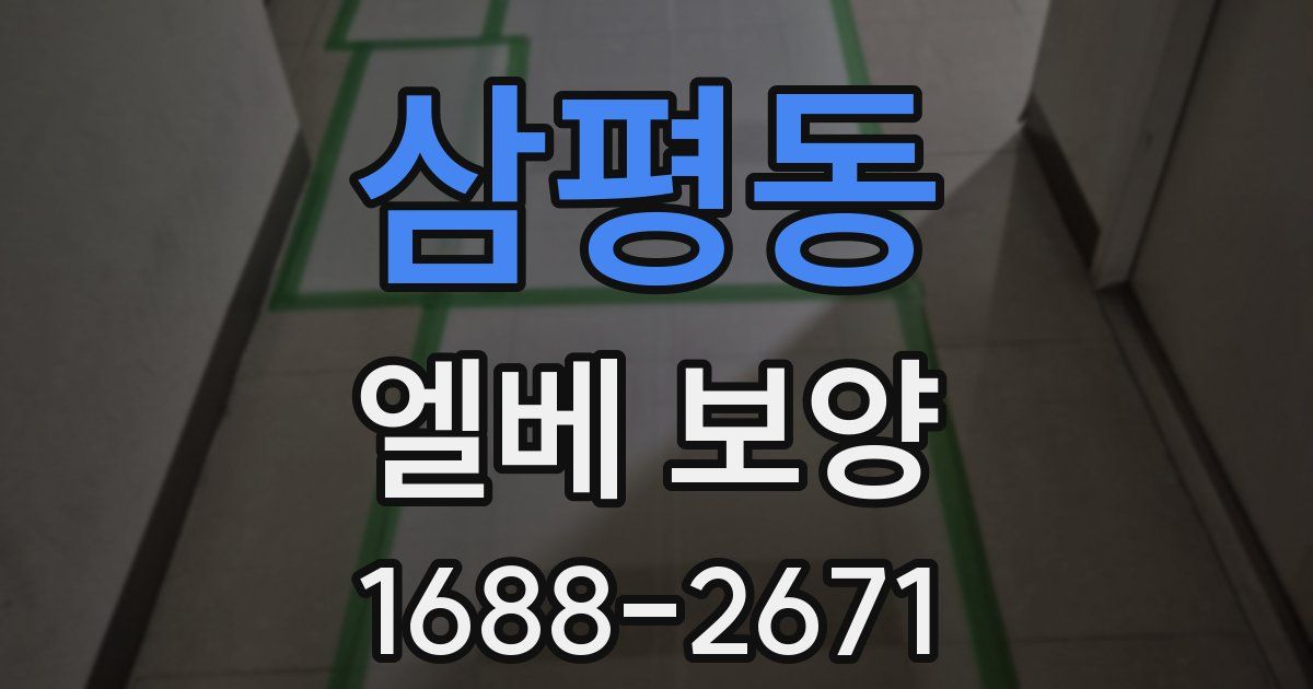 삼평동 엘베 보양
