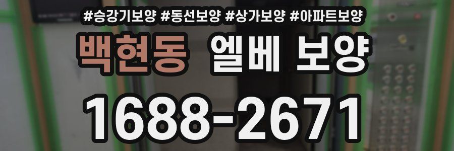 백현동 엘베 보양