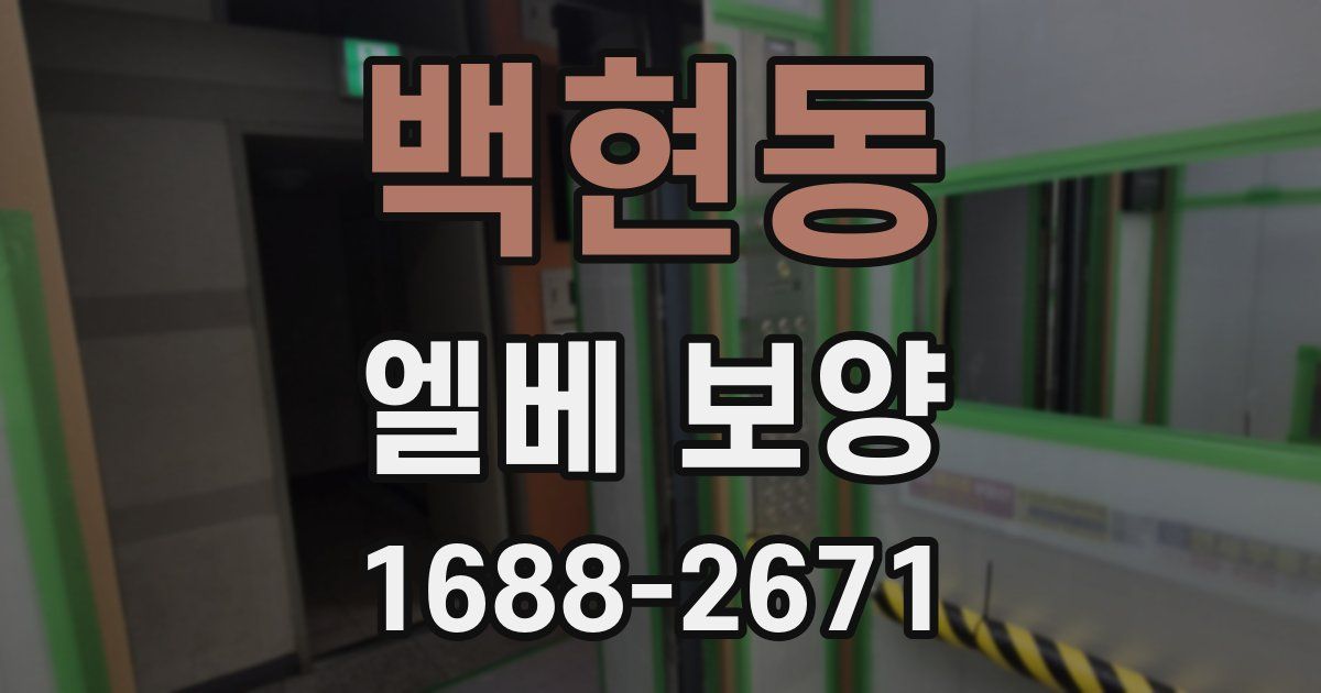 백현동 엘베 보양