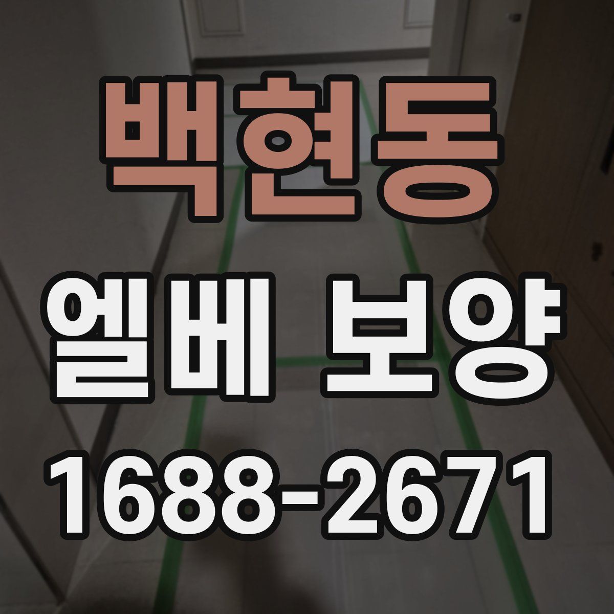 백현동 엘베 보양