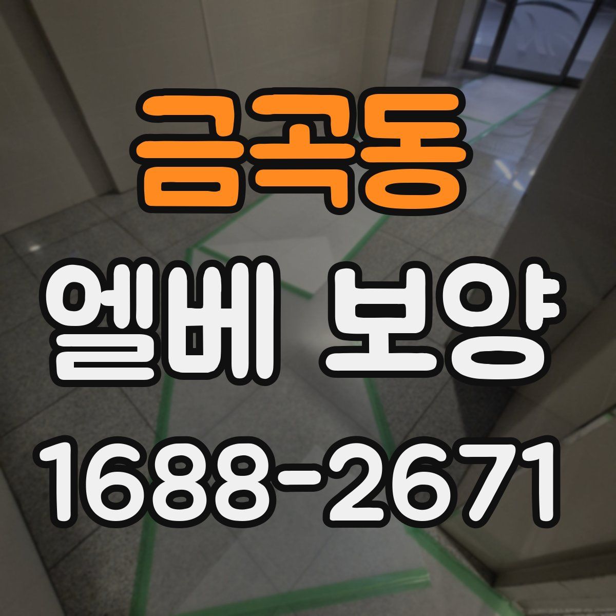 금곡동 엘베 보양