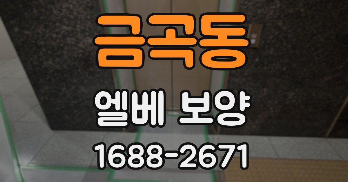 금곡동 엘베 보양