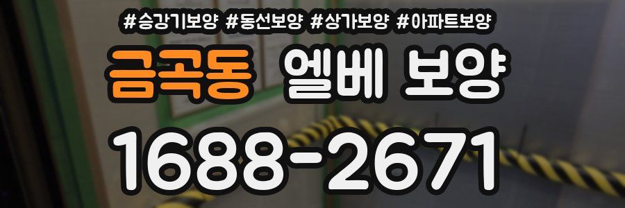 금곡동 엘베 보양