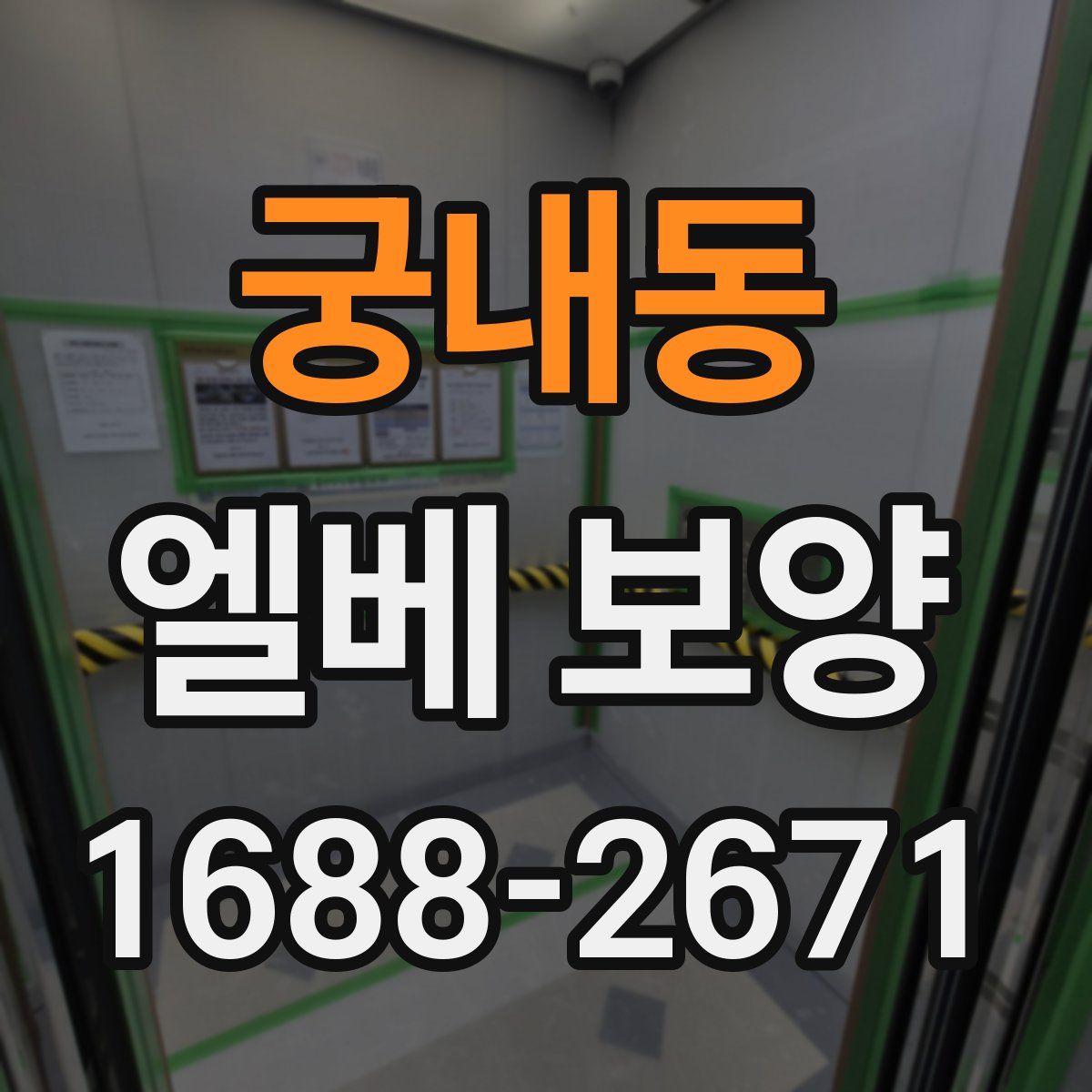 궁내동 엘베 보양