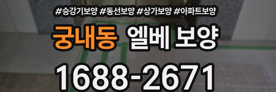 궁내동 엘베 보양
