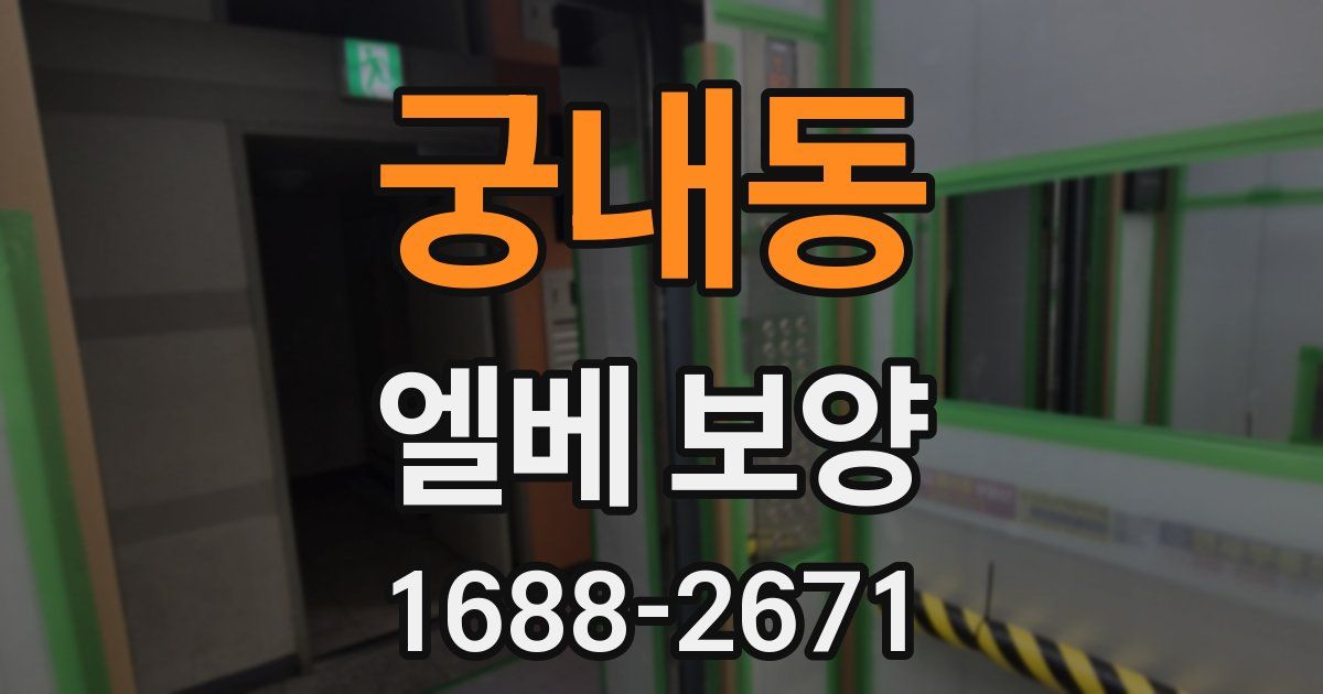 궁내동 엘베 보양