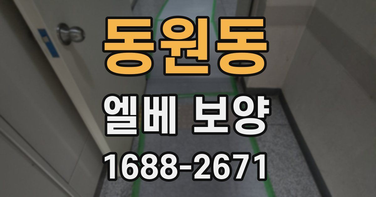 동원동 엘베 보양