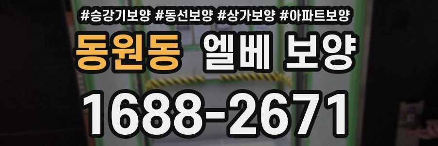 동원동 엘베 보양
