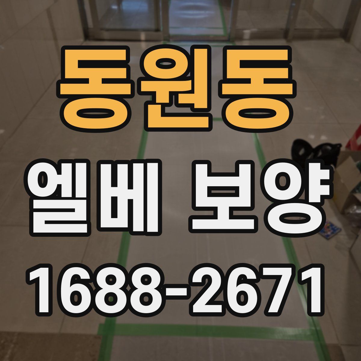 동원동 엘베 보양
