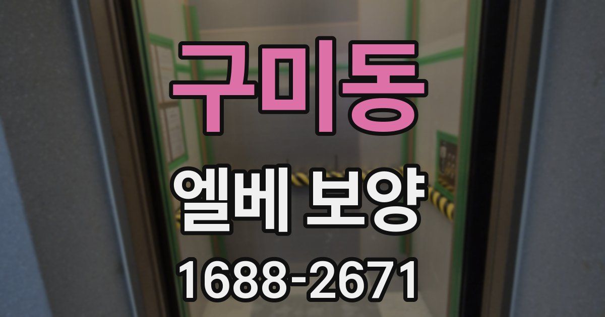 구미동 엘베 보양