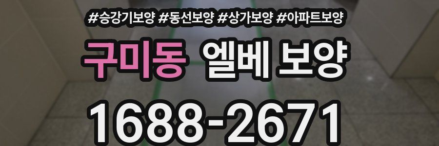 구미동 엘베 보양