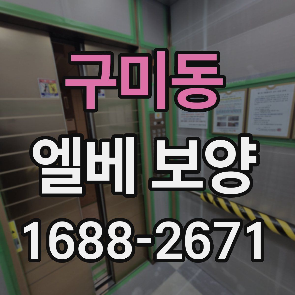 구미동 엘베 보양