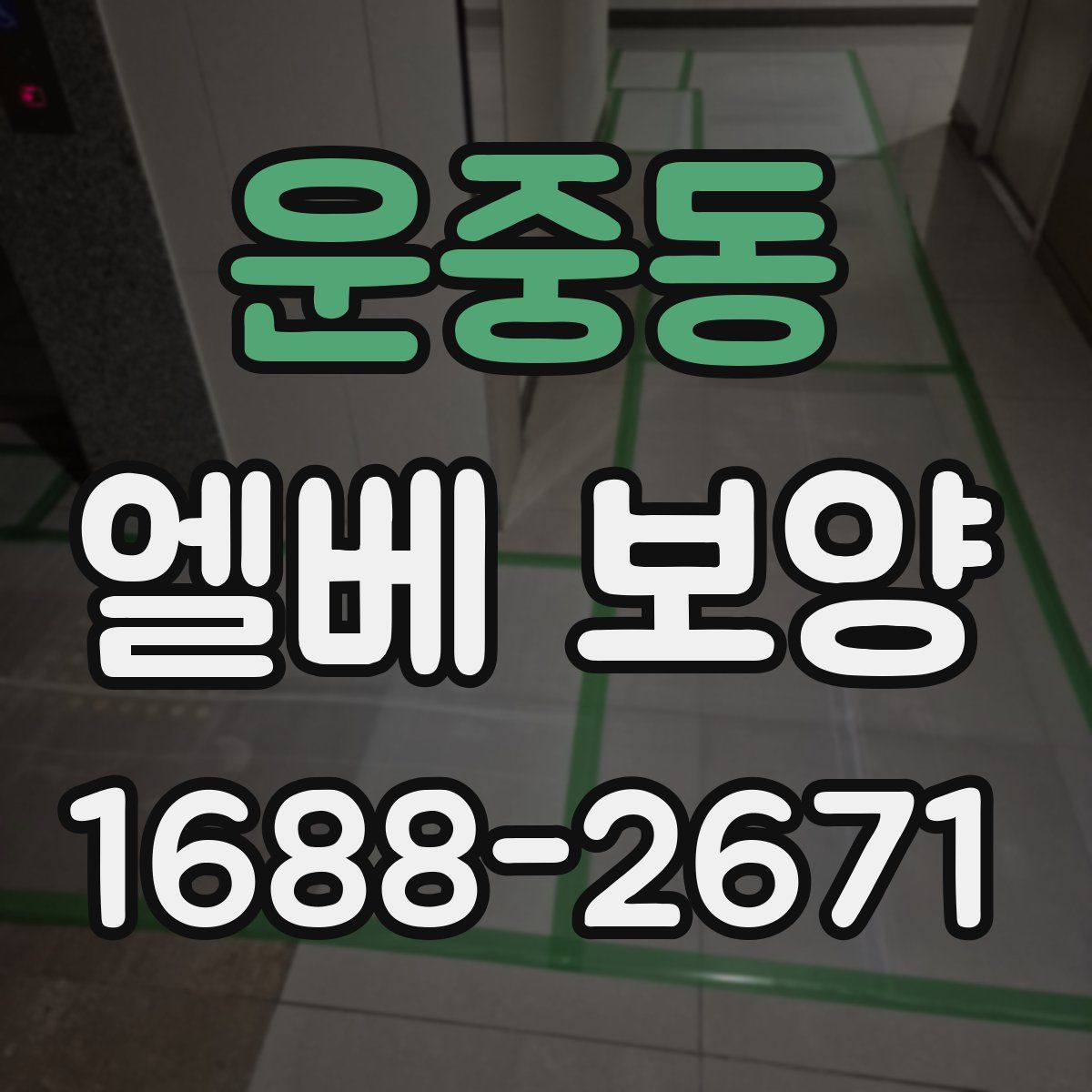 운중동 엘베 보양