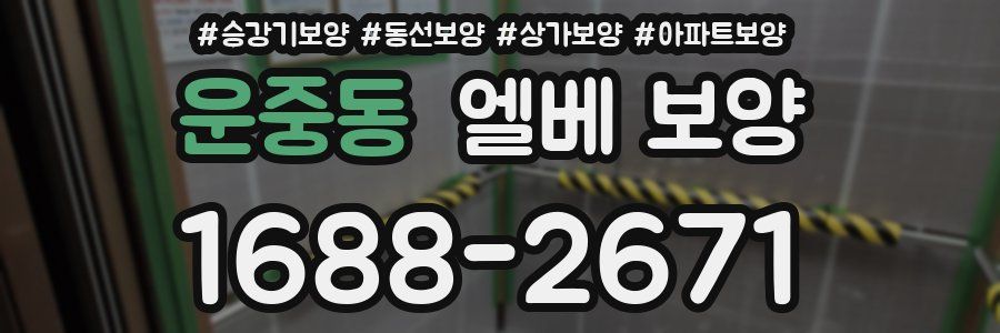 운중동 엘베 보양