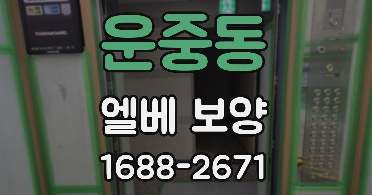 운중동 엘베 보양
