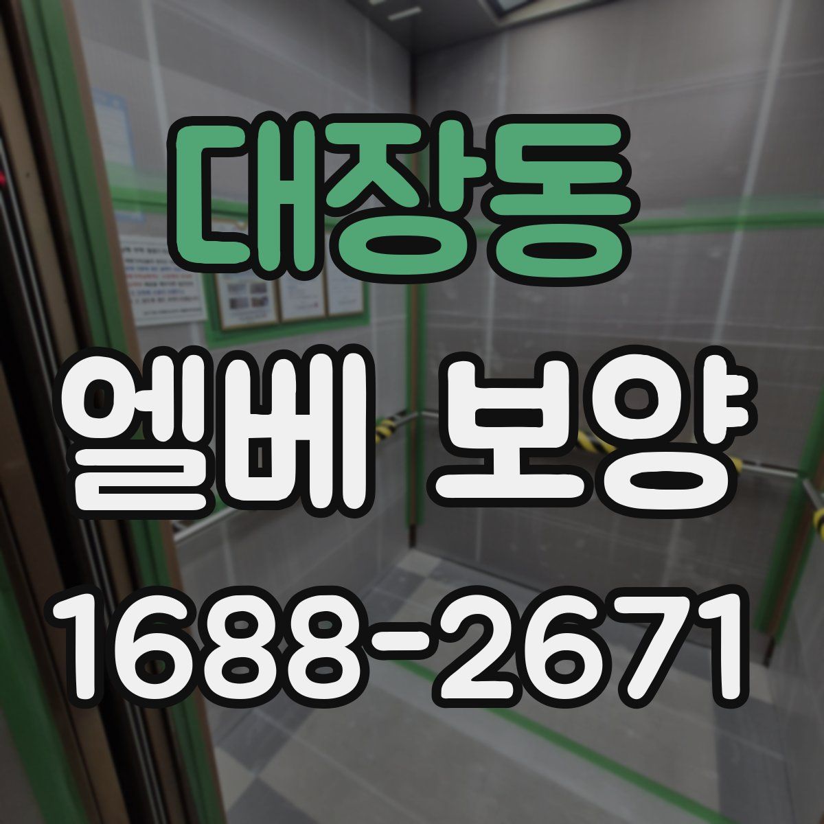 대장동 엘베 보양