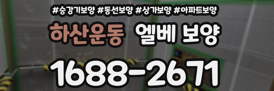 하산운동 엘베 보양