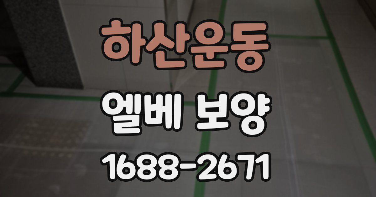 하산운동 엘베 보양