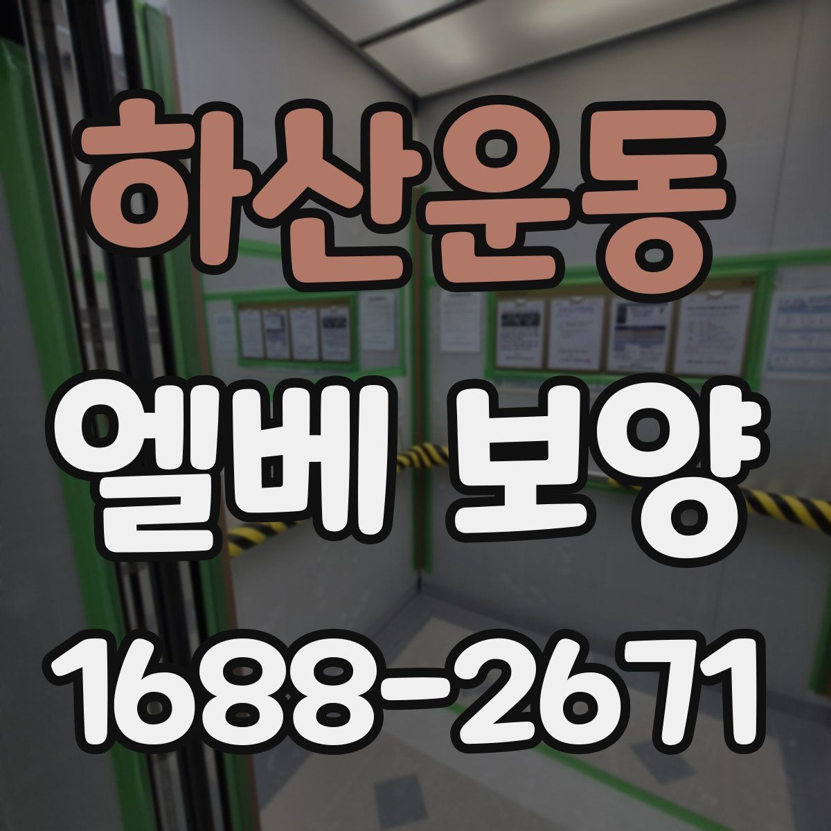 하산운동 엘베 보양