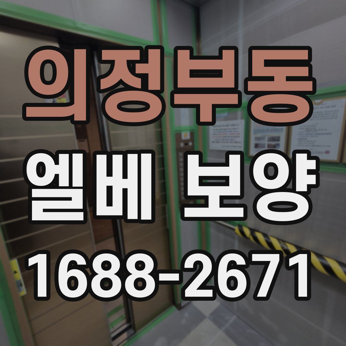 의정부동 엘베 보양