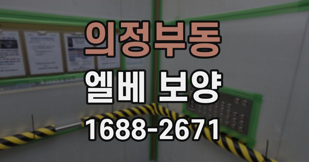 의정부동 엘베 보양