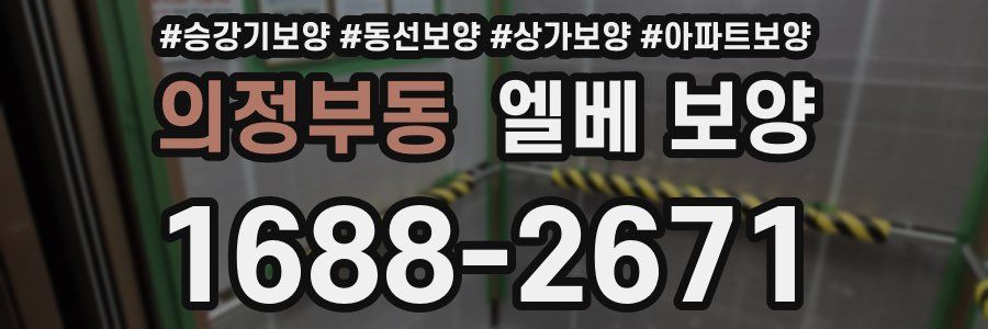 의정부동 엘베 보양