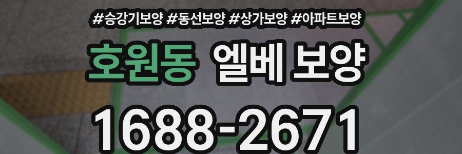호원동 엘베 보양
