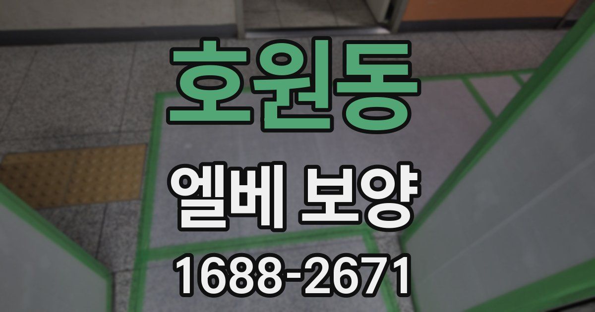 호원동 엘베 보양