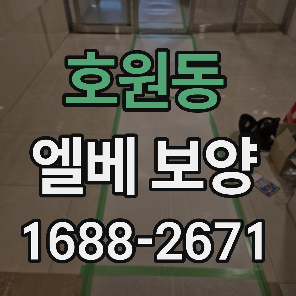 호원동 엘베 보양