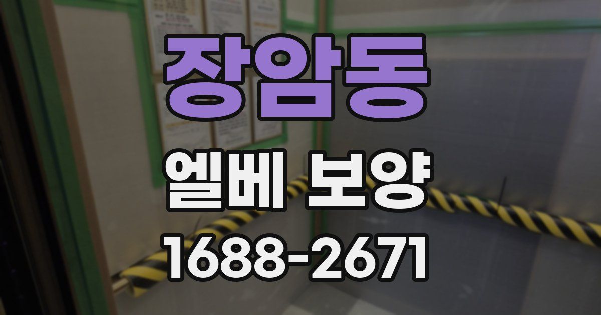 장암동 엘베 보양