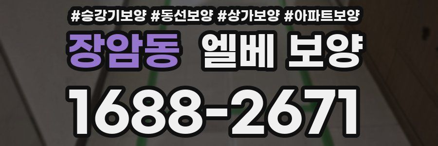 장암동 엘베 보양