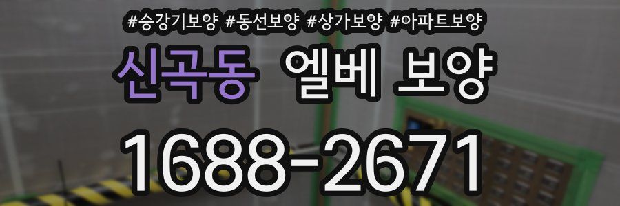 신곡동 엘베 보양