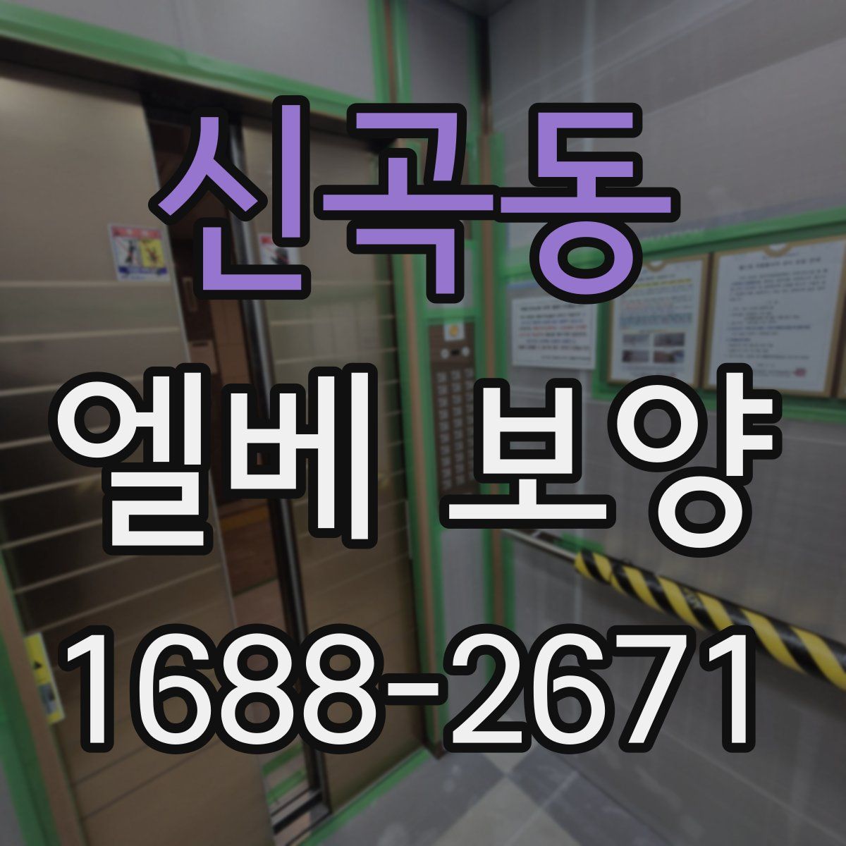 신곡동 엘베 보양