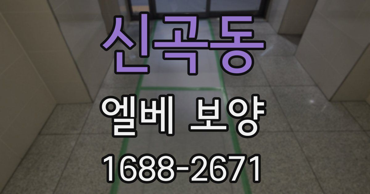 신곡동 엘베 보양