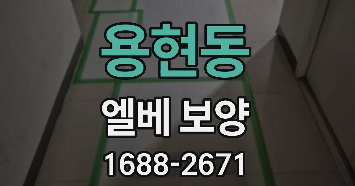 용현동 엘베 보양