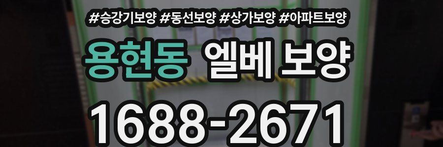 용현동 엘베 보양