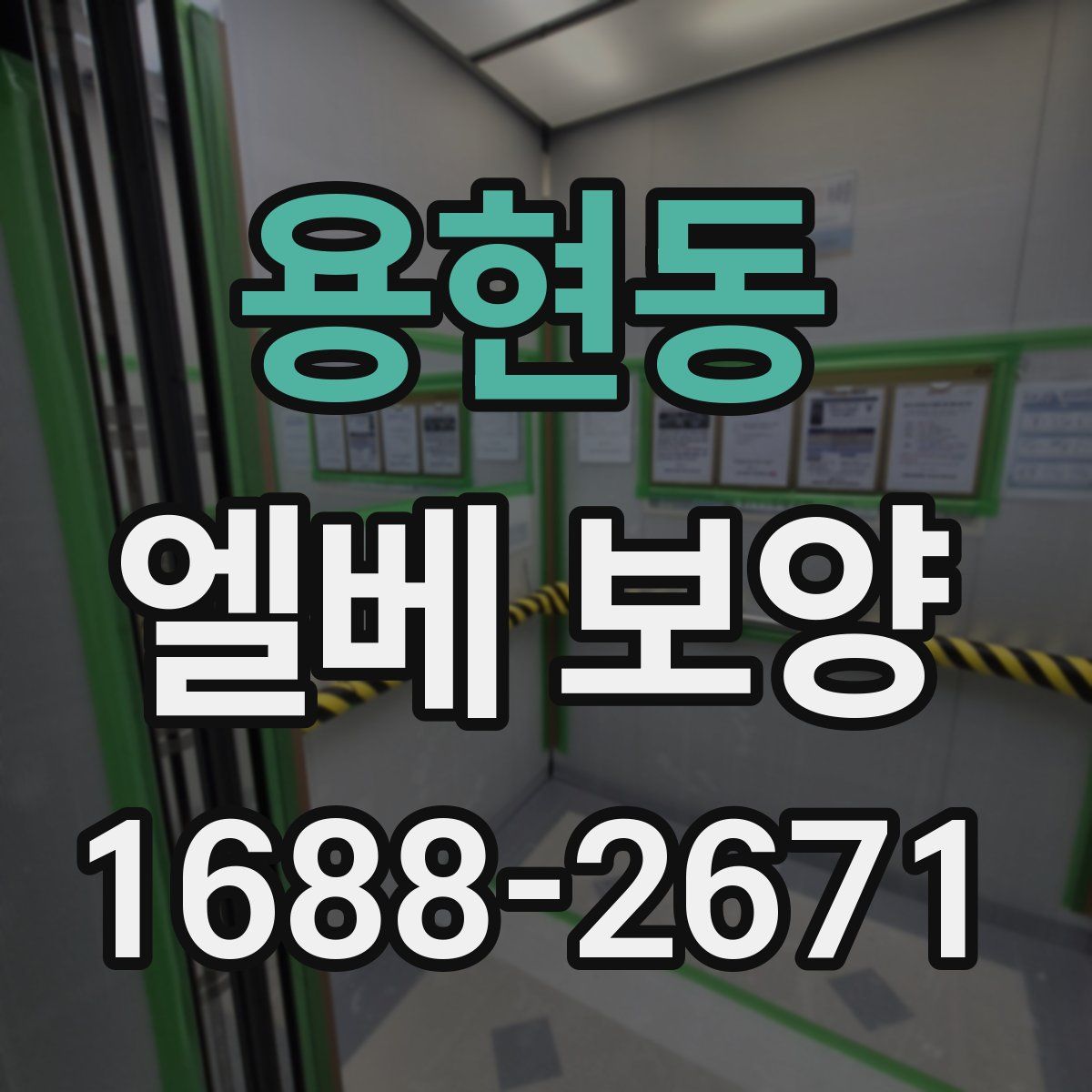 용현동 엘베 보양