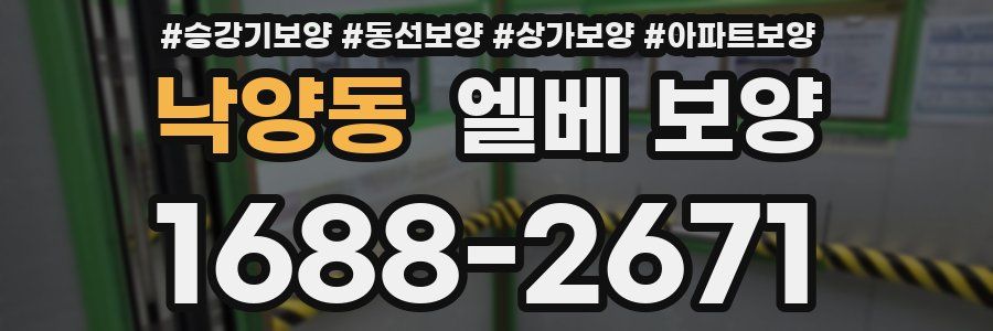 낙양동 엘베 보양