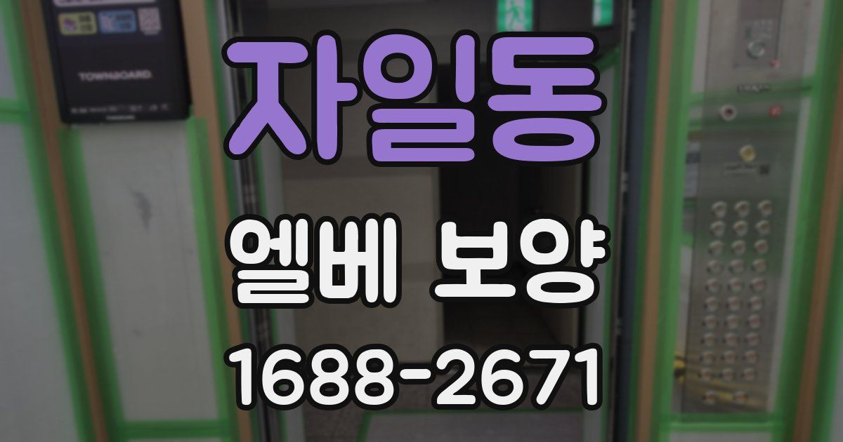 자일동 엘베 보양
