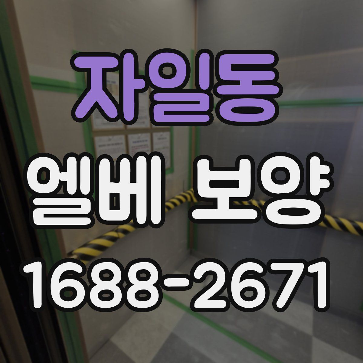 자일동 엘베 보양
