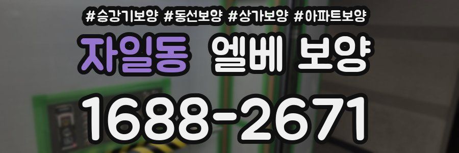 자일동 엘베 보양