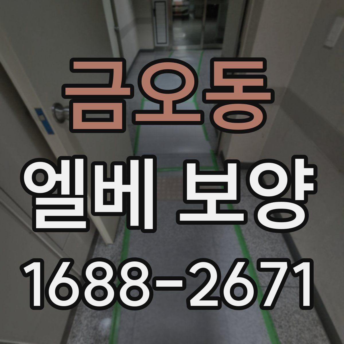 금오동 엘베 보양